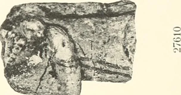 An illustration from Greek sculpture, 1903, leaf 110