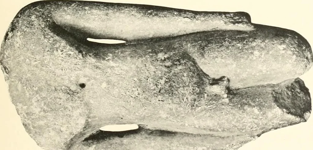 An illustration from Greek sculpture, 1903, leaf 110