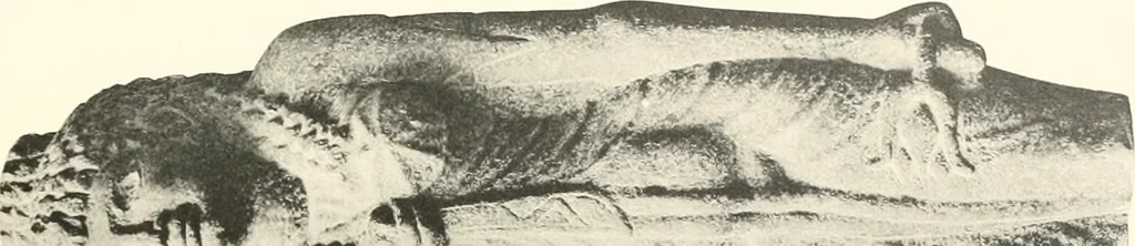 An illustration from Greek sculpture, 1903, leaf 126