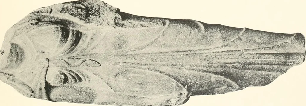 An illustration from Greek sculpture, 1903, leaf 126