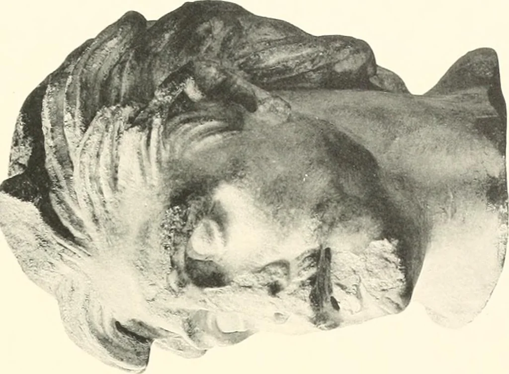 An illustration from Greek sculpture, 1903, leaf 128