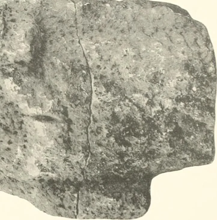 An illustration from Greek sculpture, 1903, leaf 136