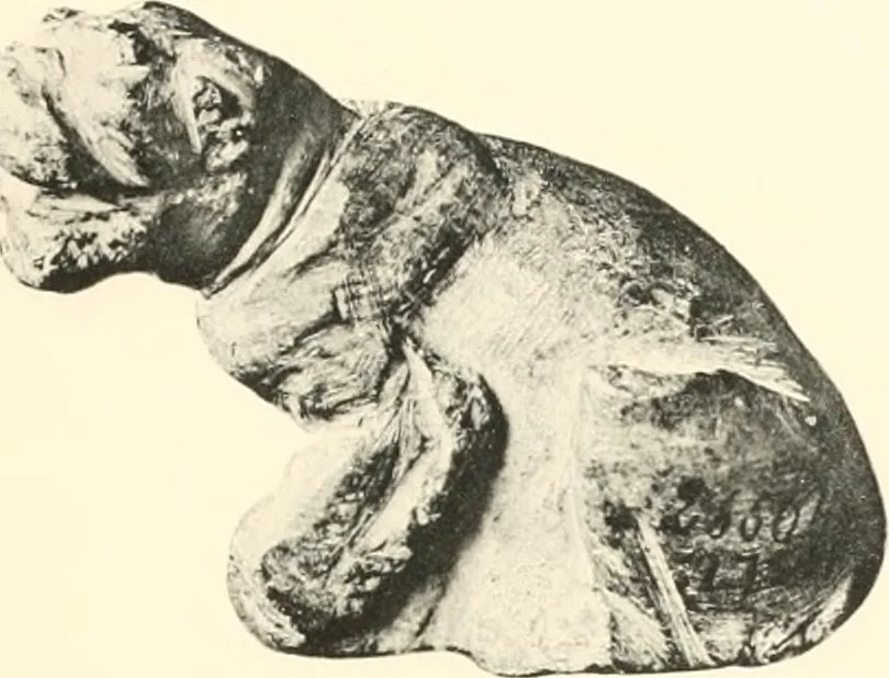 An illustration from Greek sculpture, 1903, leaf 142