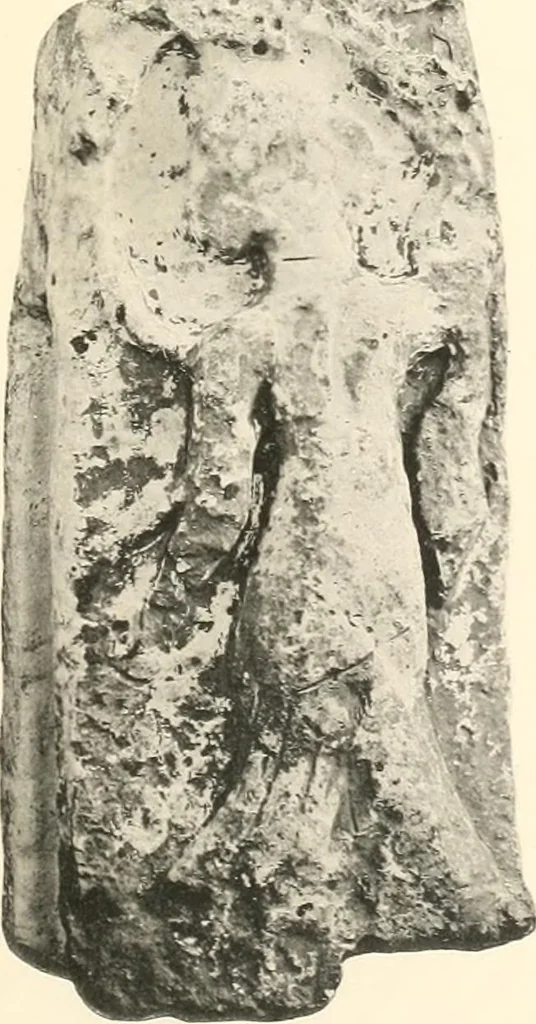 An illustration from Greek sculpture, 1903, leaf 166