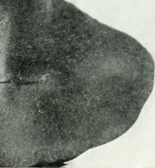 An illustration from Greek sculpture and modern art, two lectures delivered to the students of the Royal academy of London, 1914, leaf 115