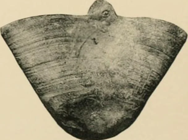 An illustration from Greek vases, 1911, leaf 164