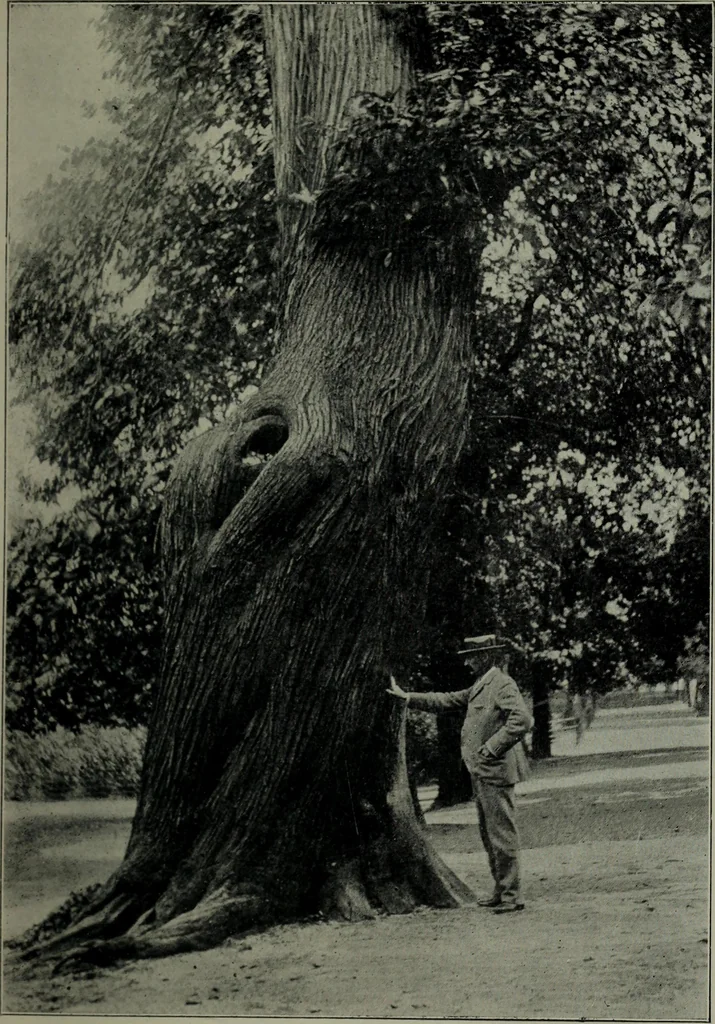 An illustration from Greenwich Park: its history and associations, 1902, leaf 103