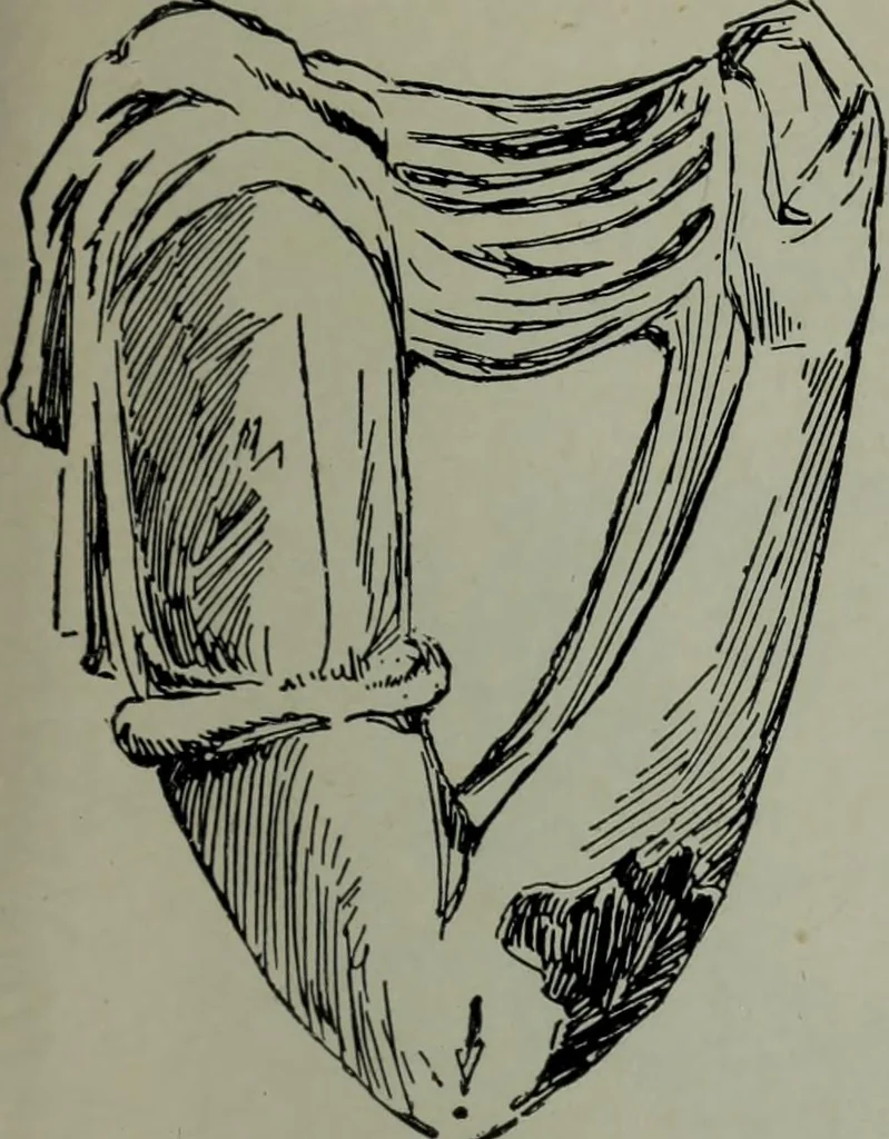 An illustration from Greenwich Park: its history and associations, 1902, leaf 129