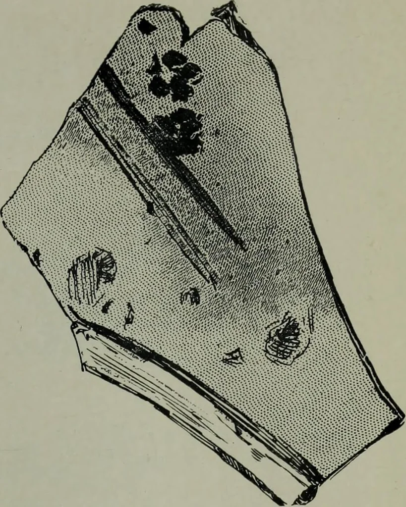 An illustration from Greenwich Park: its history and associations, 1902, leaf 129