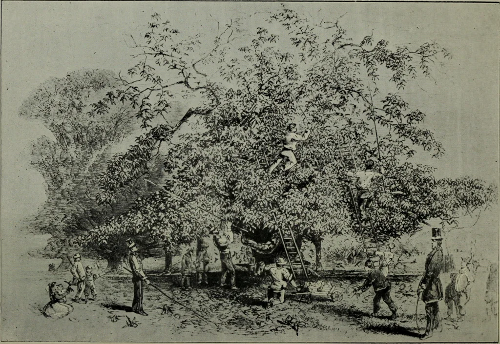An illustration from Greenwich Park: its history and associations, 1902, leaf 60