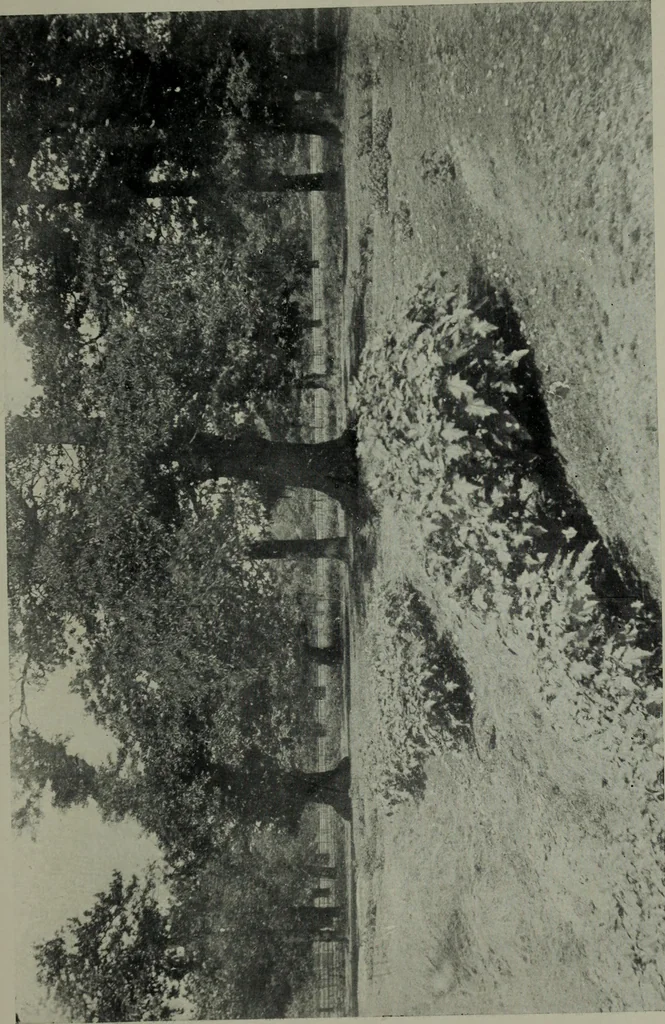 An illustration from Greenwich Park: its history and associations, 1902, leaf 89