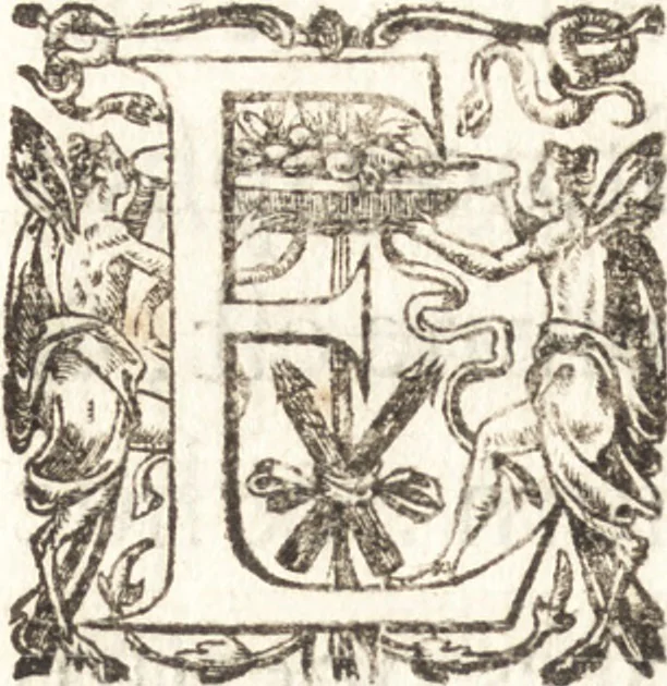 An illustration from Leges regiae et leges X.virales, 1613, leaf 13
