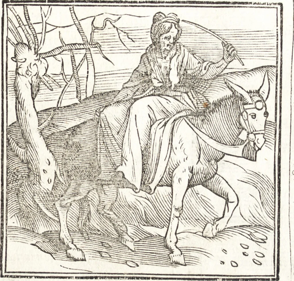 An illustration from Le ingeniose sorti, composte per Francesco Marcolini da Forli : intitulate Giardino di pensieri, 1550, leaf 104