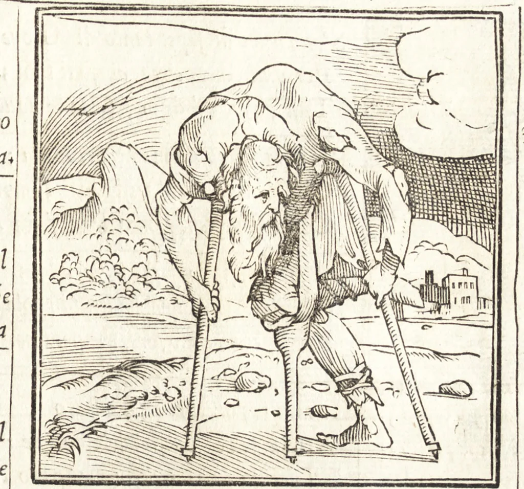 An illustration from Le ingeniose sorti, composte per Francesco Marcolini da Forli : intitulate Giardino di pensieri, 1550, leaf 116