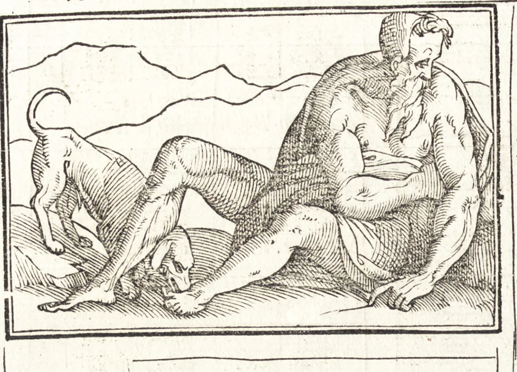 An illustration from Le ingeniose sorti, composte per Francesco Marcolini da Forli : intitulate Giardino di pensieri, 1550, leaf 13