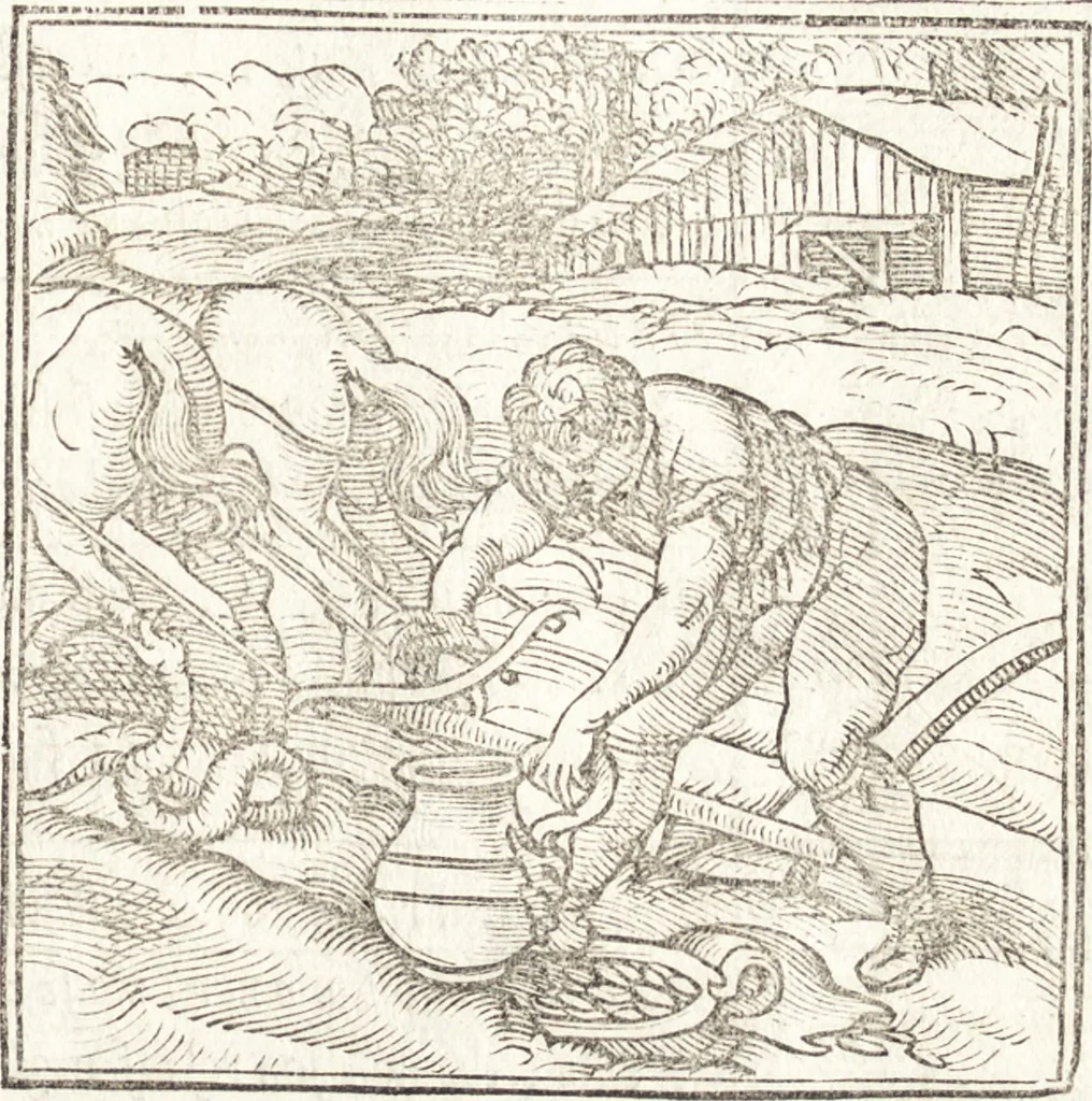 An illustration from Le ingeniose sorti, composte per Francesco Marcolini da Forli : intitulate Giardino di pensieri, 1550, leaf 132