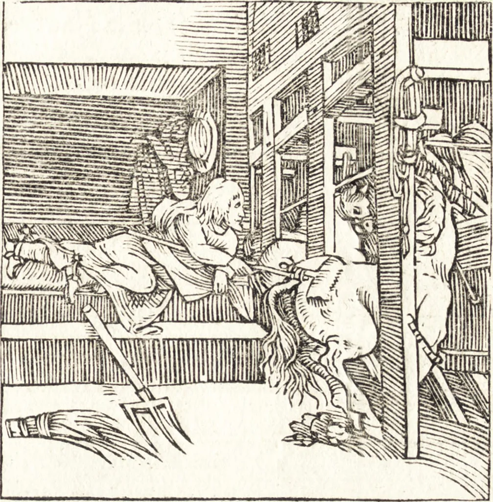 An illustration from Le ingeniose sorti, composte per Francesco Marcolini da Forli : intitulate Giardino di pensieri, 1550, leaf 144
