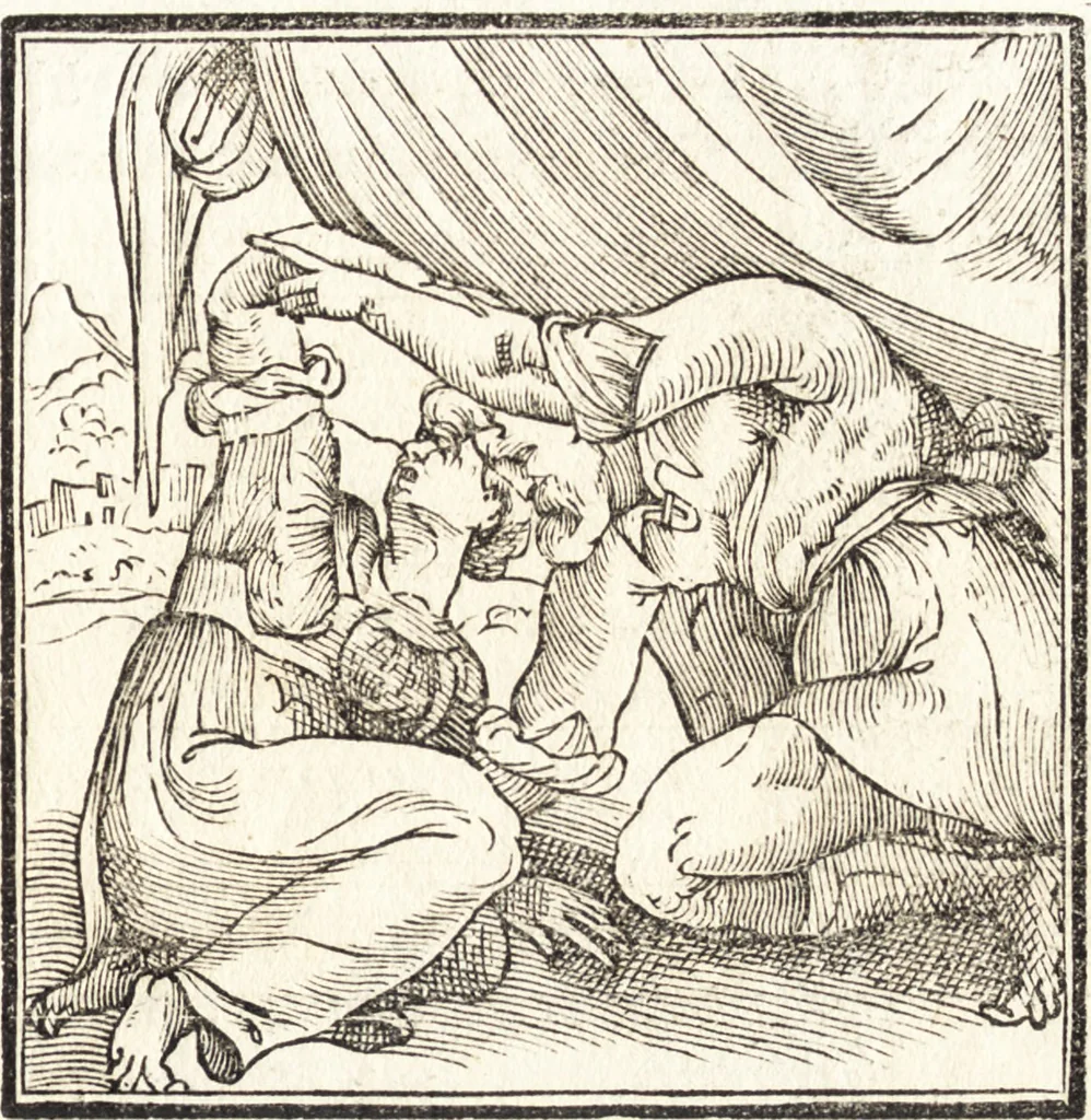 An illustration from Le ingeniose sorti, composte per Francesco Marcolini da Forli : intitulate Giardino di pensieri, 1550, leaf 160