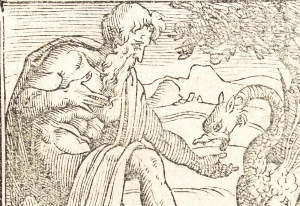 An illustration from Le ingeniose sorti, composte per Francesco Marcolini da Forli : intitulate Giardino di pensieri, 1550, leaf 161
