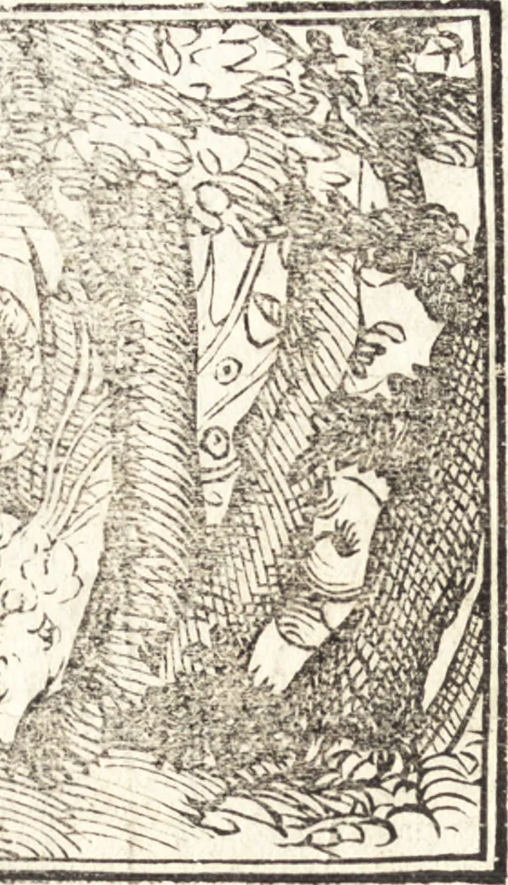 An illustration from Le ingeniose sorti, composte per Francesco Marcolini da Forli : intitulate Giardino di pensieri, 1550, leaf 161