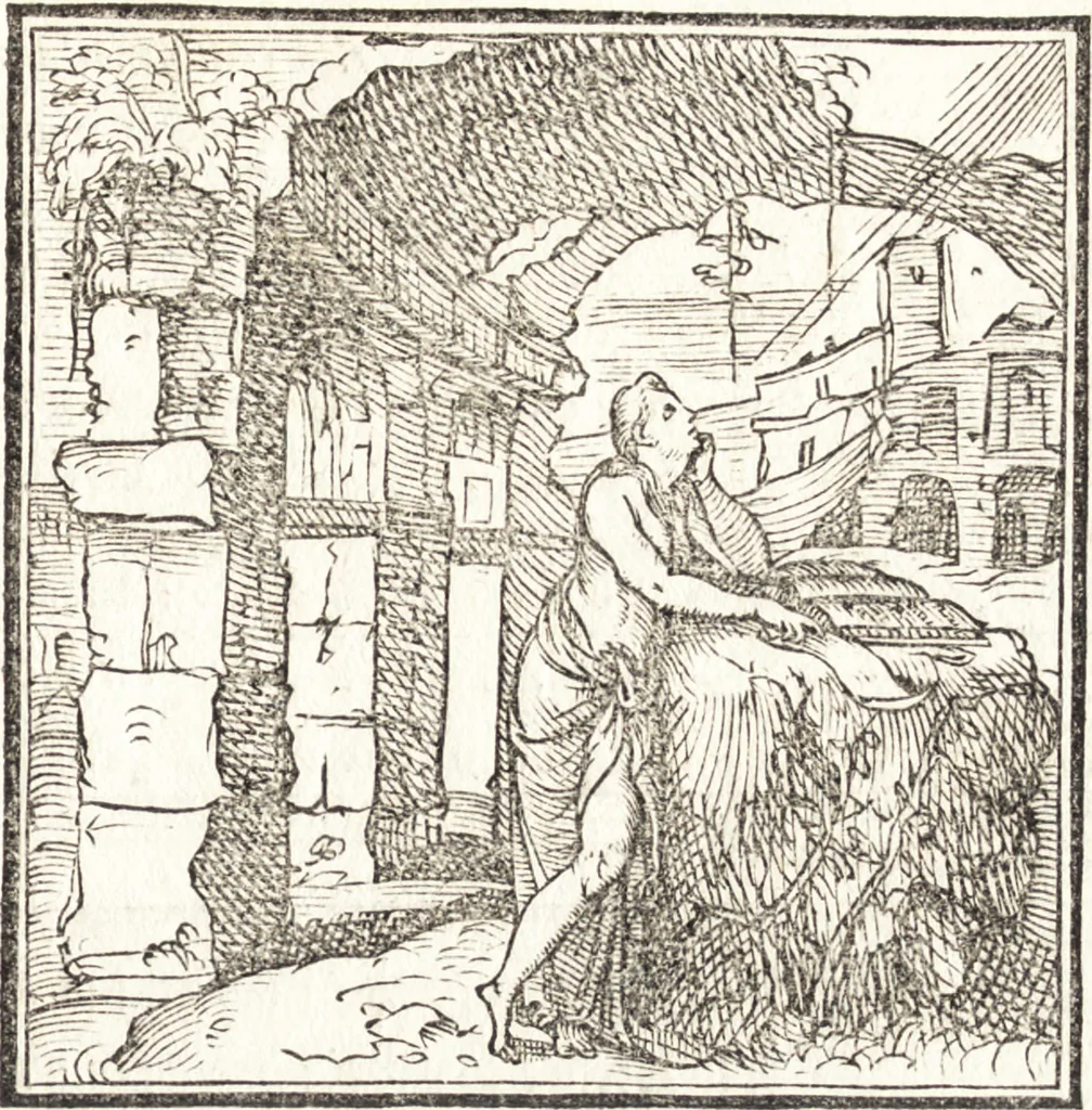 An illustration from Le ingeniose sorti, composte per Francesco Marcolini da Forli : intitulate Giardino di pensieri, 1550, leaf 184