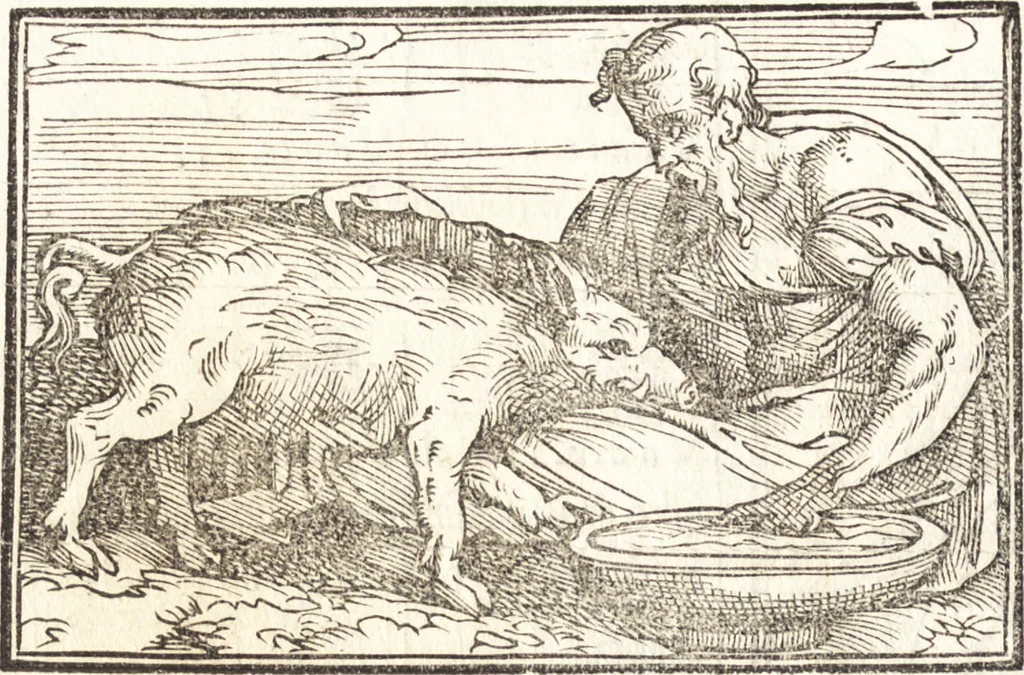 An illustration from Le ingeniose sorti, composte per Francesco Marcolini da Forli : intitulate Giardino di pensieri, 1550, leaf 193
