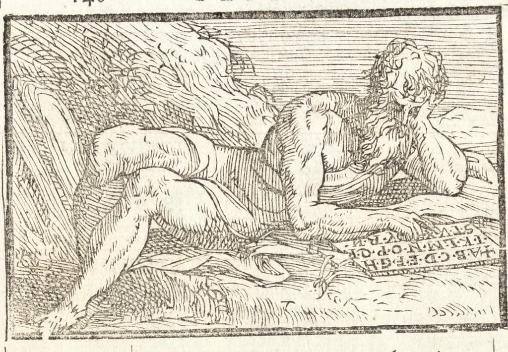 An illustration from Le ingeniose sorti, composte per Francesco Marcolini da Forli : intitulate Giardino di pensieri, 1550, leaf 197
