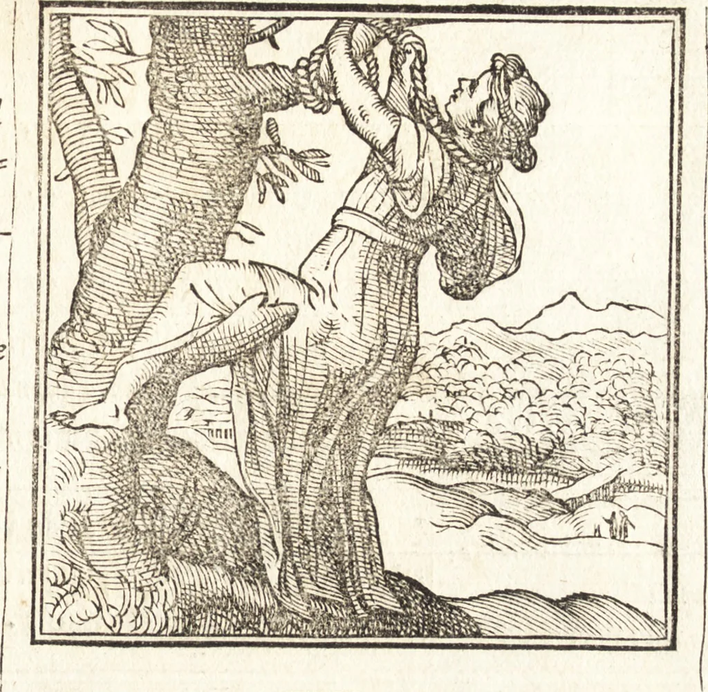 An illustration from Le ingeniose sorti, composte per Francesco Marcolini da Forli : intitulate Giardino di pensieri, 1550, leaf 204