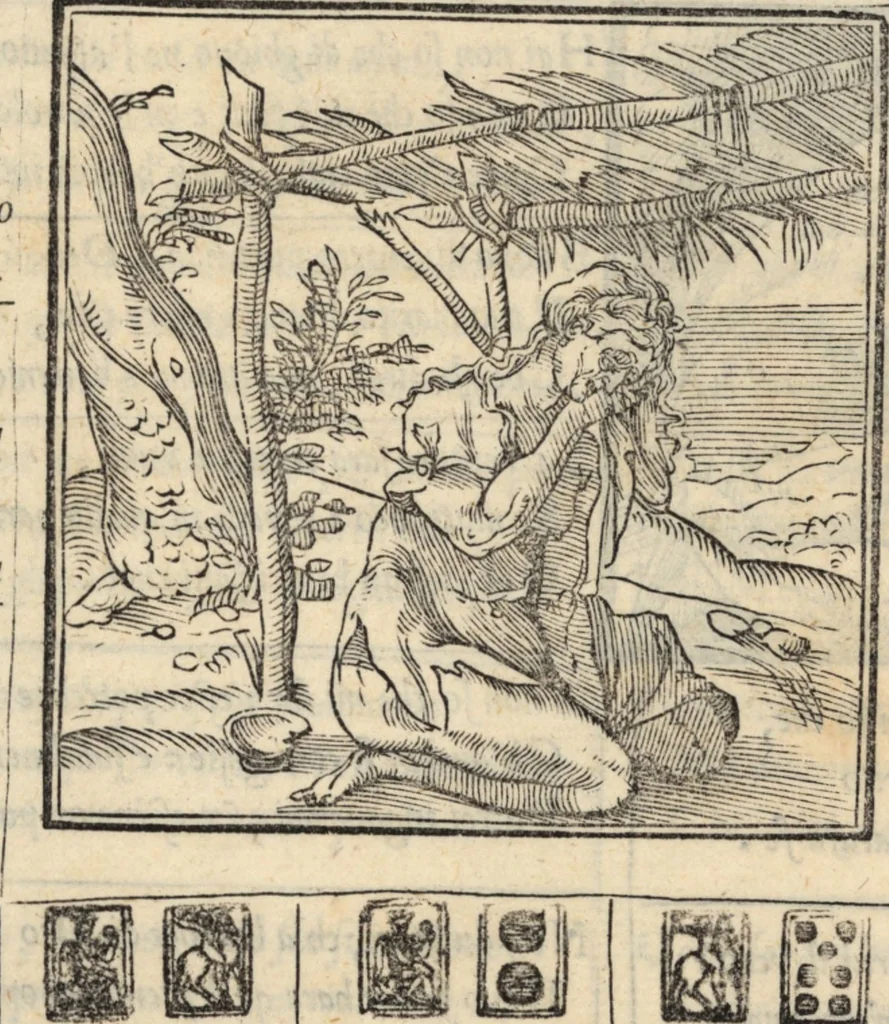 An illustration from Le ingeniose sorti, composte per Francesco Marcolini da Forli : intitulate Giardino di pensieri, 1550, leaf 210