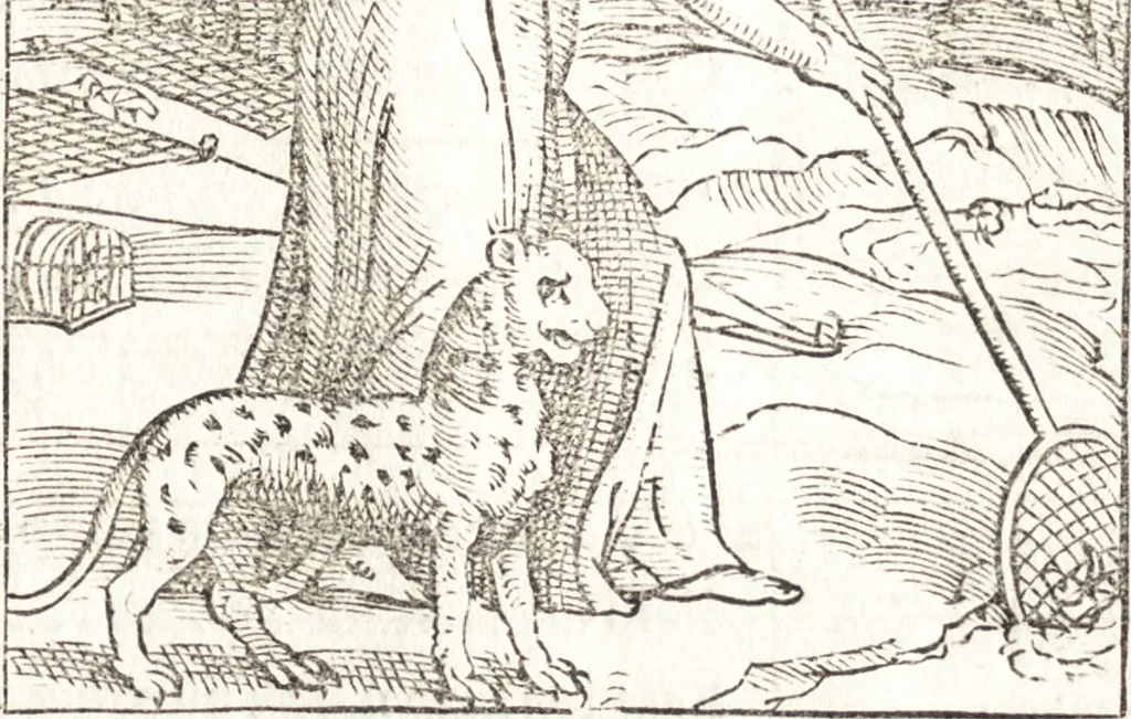 An illustration from Le ingeniose sorti, composte per Francesco Marcolini da Forli : intitulate Giardino di pensieri, 1550, leaf 84