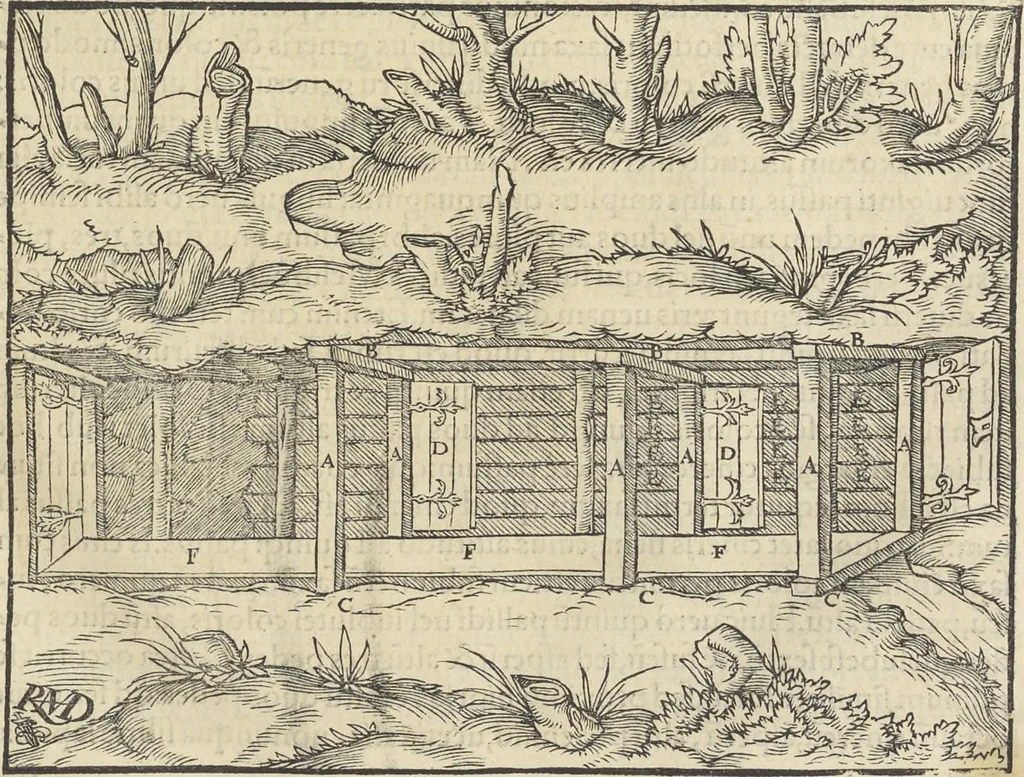 An illustration from Georgii Agricolae De re metallica : libri XII. Quibus officia, instrumenta, machinae, ac omnia deni[que] ad metallicam spectantia, non modo luculentissimè describuntur, sed & per effigies, suis locis infertas, adiunctis latinis, germanicis [que] appellationibus ita ob oculos ponuntur, ut clarius tradi non possint. ; Eiusdem De animantibus subterraneis liber,, 1556, leaf 100