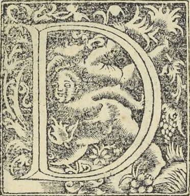 An illustration from Georgii Agricolae De re metallica : libri XII. Quibus officia, instrumenta, machinae, ac omnia deni[que] ad metallicam spectantia, non modo luculentissimè describuntur, sed & per effigies, suis locis infertas, adiunctis latinis, germanicis [que] appellationibus ita ob oculos ponuntur, ut clarius tradi non possint. ; Eiusdem De animantibus subterraneis liber,, 1556, leaf 122