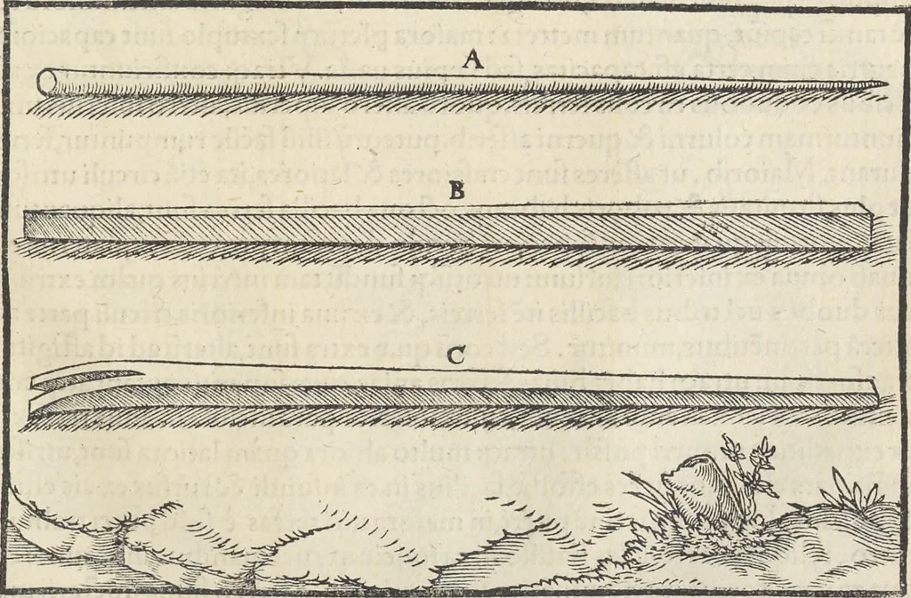 An illustration from Georgii Agricolae De re metallica : libri XII. Quibus officia, instrumenta, machinae, ac omnia deni[que] ad metallicam spectantia, non modo luculentissimè describuntur, sed & per effigies, suis locis infertas, adiunctis latinis, germanicis [que] appellationibus ita ob oculos ponuntur, ut clarius tradi non possint. ; Eiusdem De animantibus subterraneis liber,, 1556, leaf 128