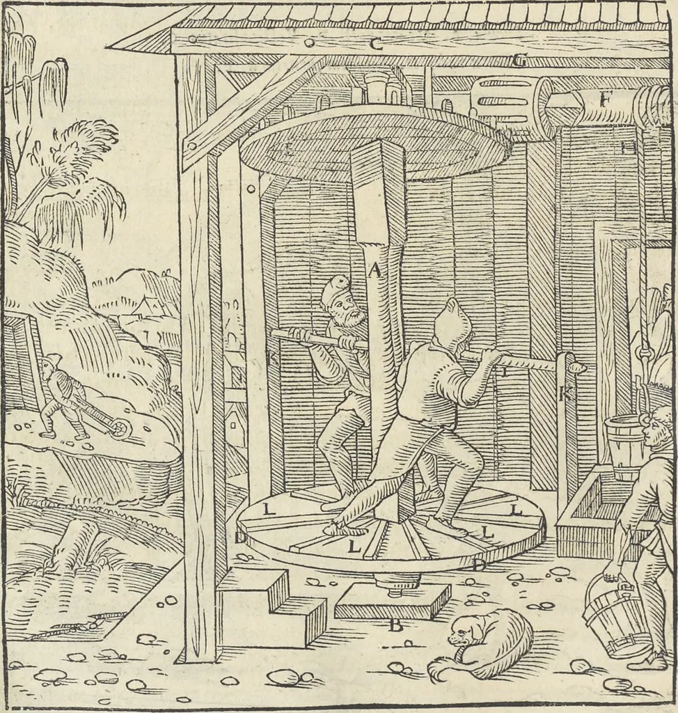 An illustration from Georgii Agricolae De re metallica : libri XII. Quibus officia, instrumenta, machinae, ac omnia deni[que] ad metallicam spectantia, non modo luculentissimè describuntur, sed & per effigies, suis locis infertas, adiunctis latinis, germanicis [que] appellationibus ita ob oculos ponuntur, ut clarius tradi non possint. ; Eiusdem De animantibus subterraneis liber,, 1556, leaf 139