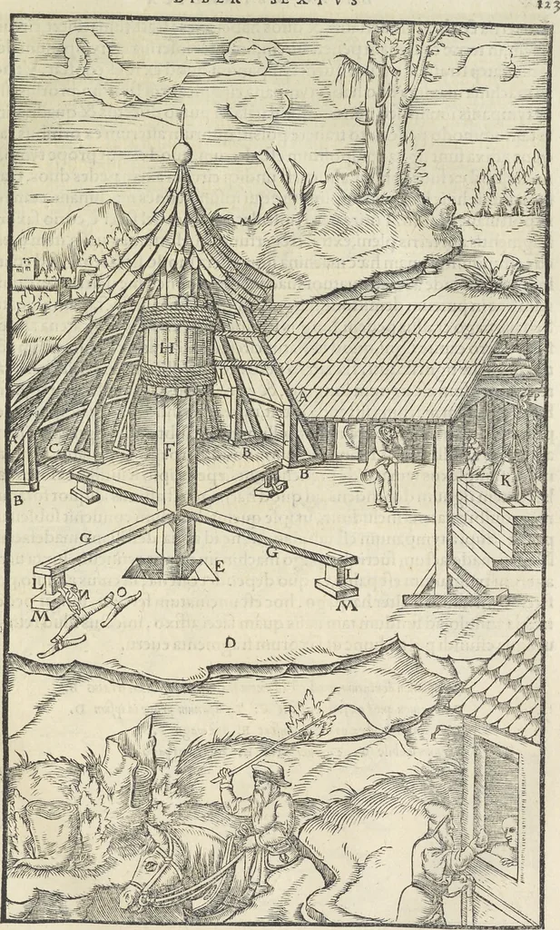 An illustration from Georgii Agricolae De re metallica : libri XII. Quibus officia, instrumenta, machinae, ac omnia deni[que] ad metallicam spectantia, non modo luculentissimè describuntur, sed & per effigies, suis locis infertas, adiunctis latinis, germanicis [que] appellationibus ita ob oculos ponuntur, ut clarius tradi non possint. ; Eiusdem De animantibus subterraneis liber,, 1556, leaf 142