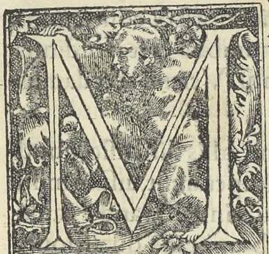 An illustration from Georgii Agricolae De re metallica : libri XII. Quibus officia, instrumenta, machinae, ac omnia deni[que] ad metallicam spectantia, non modo luculentissimè describuntur, sed & per effigies, suis locis infertas, adiunctis latinis, germanicis [que] appellationibus ita ob oculos ponuntur, ut clarius tradi non possint. ; Eiusdem De animantibus subterraneis liber,, 1556, leaf 16