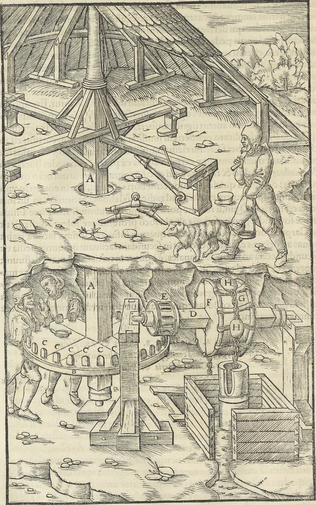An illustration from Georgii Agricolae De re metallica : libri XII. Quibus officia, instrumenta, machinae, ac omnia deni[que] ad metallicam spectantia, non modo luculentissimè describuntur, sed & per effigies, suis locis infertas, adiunctis latinis, germanicis [que] appellationibus ita ob oculos ponuntur, ut clarius tradi non possint. ; Eiusdem De animantibus subterraneis liber,, 1556, leaf 171