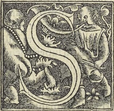 An illustration from Georgii Agricolae De re metallica : libri XII. Quibus officia, instrumenta, machinae, ac omnia deni[que] ad metallicam spectantia, non modo luculentissimè describuntur, sed & per effigies, suis locis infertas, adiunctis latinis, germanicis [que] appellationibus ita ob oculos ponuntur, ut clarius tradi non possint. ; Eiusdem De animantibus subterraneis liber,, 1556, leaf 193