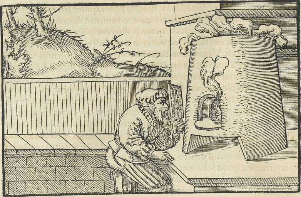 An illustration from Georgii Agricolae De re metallica : libri XII. Quibus officia, instrumenta, machinae, ac omnia deni[que] ad metallicam spectantia, non modo luculentissimè describuntur, sed & per effigies, suis locis infertas, adiunctis latinis, germanicis [que] appellationibus ita ob oculos ponuntur, ut clarius tradi non possint. ; Eiusdem De animantibus subterraneis liber,, 1556, leaf 195