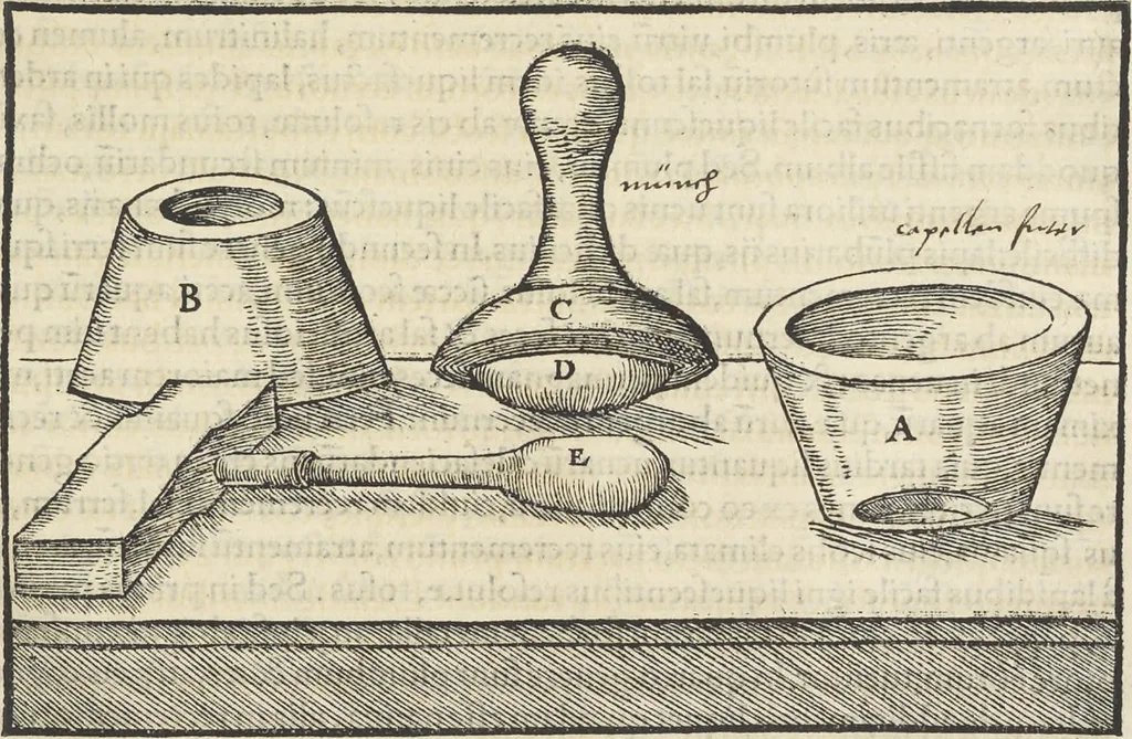 An illustration from Georgii Agricolae De re metallica : libri XII. Quibus officia, instrumenta, machinae, ac omnia deni[que] ad metallicam spectantia, non modo luculentissimè describuntur, sed & per effigies, suis locis infertas, adiunctis latinis, germanicis [que] appellationibus ita ob oculos ponuntur, ut clarius tradi non possint. ; Eiusdem De animantibus subterraneis liber,, 1556, leaf 202