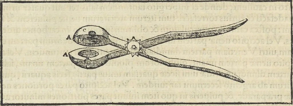 An illustration from Georgii Agricolae De re metallica : libri XII. Quibus officia, instrumenta, machinae, ac omnia deni[que] ad metallicam spectantia, non modo luculentissimè describuntur, sed & per effigies, suis locis infertas, adiunctis latinis, germanicis [que] appellationibus ita ob oculos ponuntur, ut clarius tradi non possint. ; Eiusdem De animantibus subterraneis liber,, 1556, leaf 207