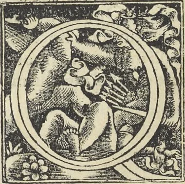 An illustration from Georgii Agricolae De re metallica : libri XII. Quibus officia, instrumenta, machinae, ac omnia deni[que] ad metallicam spectantia, non modo luculentissimè describuntur, sed & per effigies, suis locis infertas, adiunctis latinis, germanicis [que] appellationibus ita ob oculos ponuntur, ut clarius tradi non possint. ; Eiusdem De animantibus subterraneis liber,, 1556, leaf 227