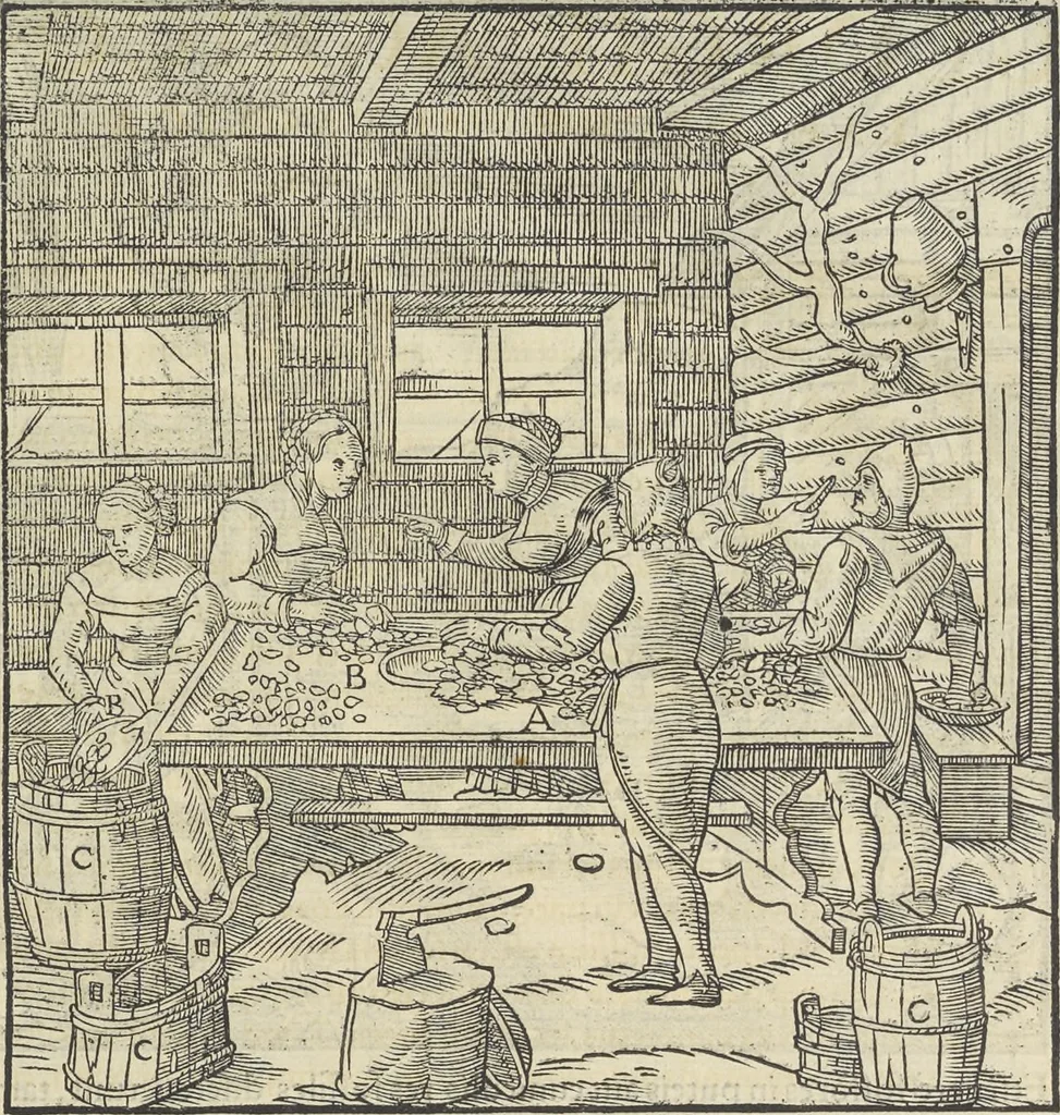 An illustration from Georgii Agricolae De re metallica : libri XII. Quibus officia, instrumenta, machinae, ac omnia deni[que] ad metallicam spectantia, non modo luculentissimè describuntur, sed & per effigies, suis locis infertas, adiunctis latinis, germanicis [que] appellationibus ita ob oculos ponuntur, ut clarius tradi non possint. ; Eiusdem De animantibus subterraneis liber,, 1556, leaf 228