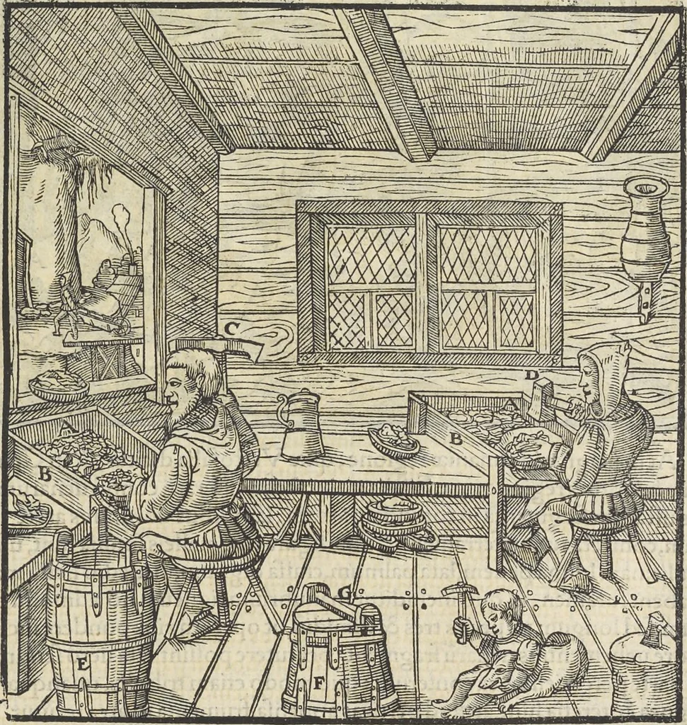 An illustration from Georgii Agricolae De re metallica : libri XII. Quibus officia, instrumenta, machinae, ac omnia deni[que] ad metallicam spectantia, non modo luculentissimè describuntur, sed & per effigies, suis locis infertas, adiunctis latinis, germanicis [que] appellationibus ita ob oculos ponuntur, ut clarius tradi non possint. ; Eiusdem De animantibus subterraneis liber,, 1556, leaf 230