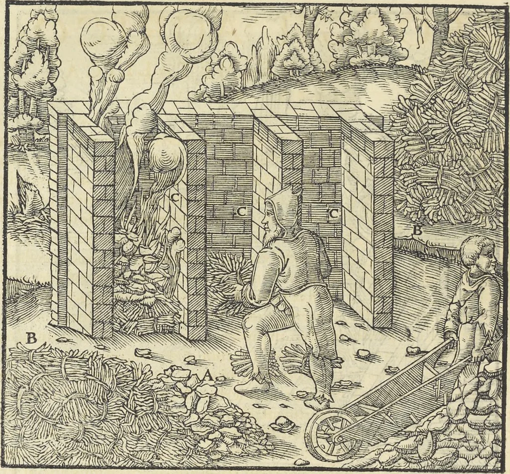 An illustration from Georgii Agricolae De re metallica : libri XII. Quibus officia, instrumenta, machinae, ac omnia deni[que] ad metallicam spectantia, non modo luculentissimè describuntur, sed & per effigies, suis locis infertas, adiunctis latinis, germanicis [que] appellationibus ita ob oculos ponuntur, ut clarius tradi non possint. ; Eiusdem De animantibus subterraneis liber,, 1556, leaf 299