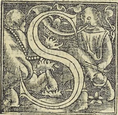 An illustration from Georgii Agricolae De re metallica : libri XII. Quibus officia, instrumenta, machinae, ac omnia deni[que] ad metallicam spectantia, non modo luculentissimè describuntur, sed & per effigies, suis locis infertas, adiunctis latinis, germanicis [que] appellationibus ita ob oculos ponuntur, ut clarius tradi non possint. ; Eiusdem De animantibus subterraneis liber,, 1556, leaf 300