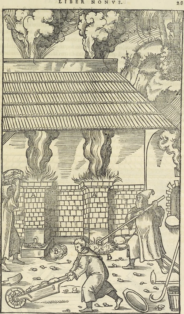 An illustration from Georgii Agricolae De re metallica : libri XII. Quibus officia, instrumenta, machinae, ac omnia deni[que] ad metallicam spectantia, non modo luculentissimè describuntur, sed & per effigies, suis locis infertas, adiunctis latinis, germanicis [que] appellationibus ita ob oculos ponuntur, ut clarius tradi non possint. ; Eiusdem De animantibus subterraneis liber,, 1556, leaf 302
