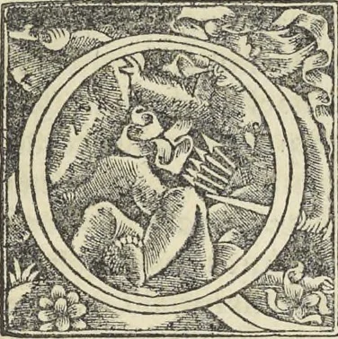 An illustration from Georgii Agricolae De re metallica : libri XII. Quibus officia, instrumenta, machinae, ac omnia deni[que] ad metallicam spectantia, non modo luculentissimè describuntur, sed & per effigies, suis locis infertas, adiunctis latinis, germanicis [que] appellationibus ita ob oculos ponuntur, ut clarius tradi non possint. ; Eiusdem De animantibus subterraneis liber,, 1556, leaf 34