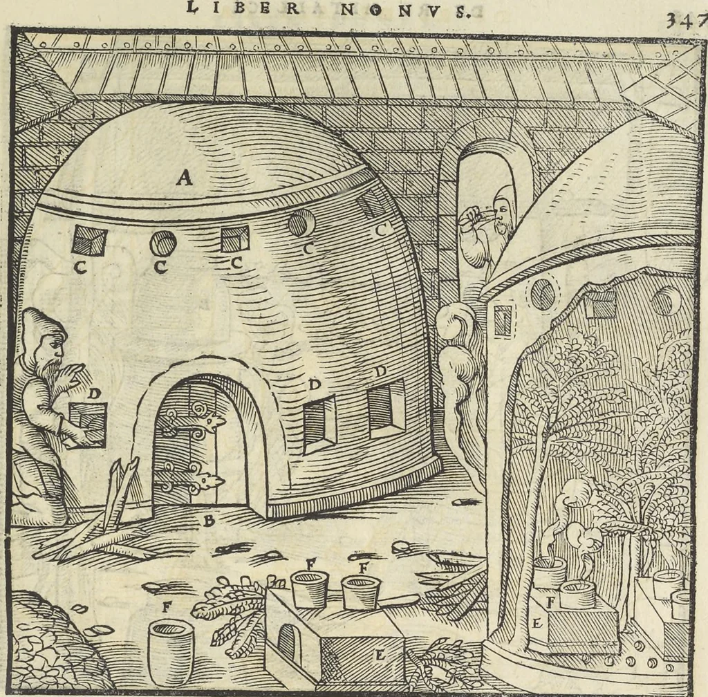 An illustration from Georgii Agricolae De re metallica : libri XII. Quibus officia, instrumenta, machinae, ac omnia deni[que] ad metallicam spectantia, non modo luculentissimè describuntur, sed & per effigies, suis locis infertas, adiunctis latinis, germanicis [que] appellationibus ita ob oculos ponuntur, ut clarius tradi non possint. ; Eiusdem De animantibus subterraneis liber,, 1556, leaf 362