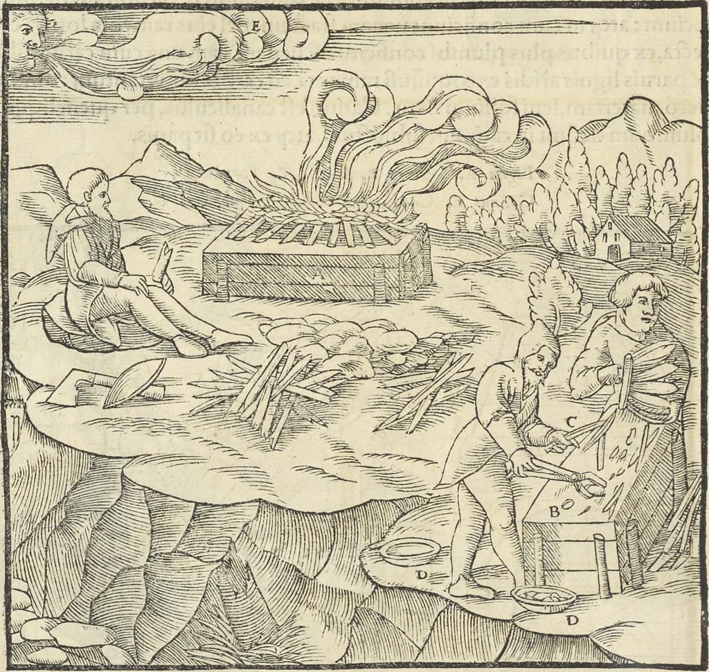 An illustration from Georgii Agricolae De re metallica : libri XII. Quibus officia, instrumenta, machinae, ac omnia deni[que] ad metallicam spectantia, non modo luculentissimè describuntur, sed & per effigies, suis locis infertas, adiunctis latinis, germanicis [que] appellationibus ita ob oculos ponuntur, ut clarius tradi non possint. ; Eiusdem De animantibus subterraneis liber,, 1556, leaf 367